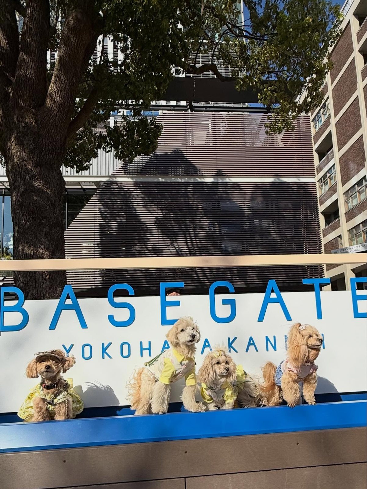 BASEGATE横浜関内にて