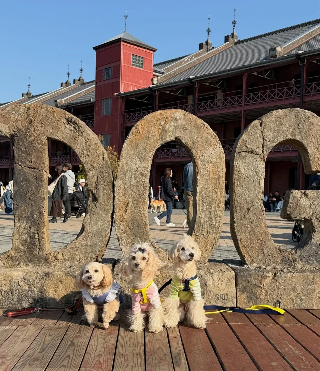 🏆だーなんてね DOGの前で