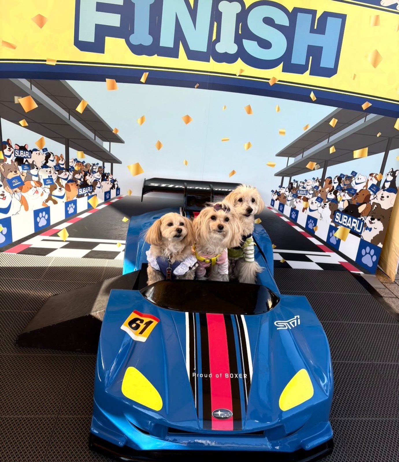 🏆だーなんてね DOGの前で