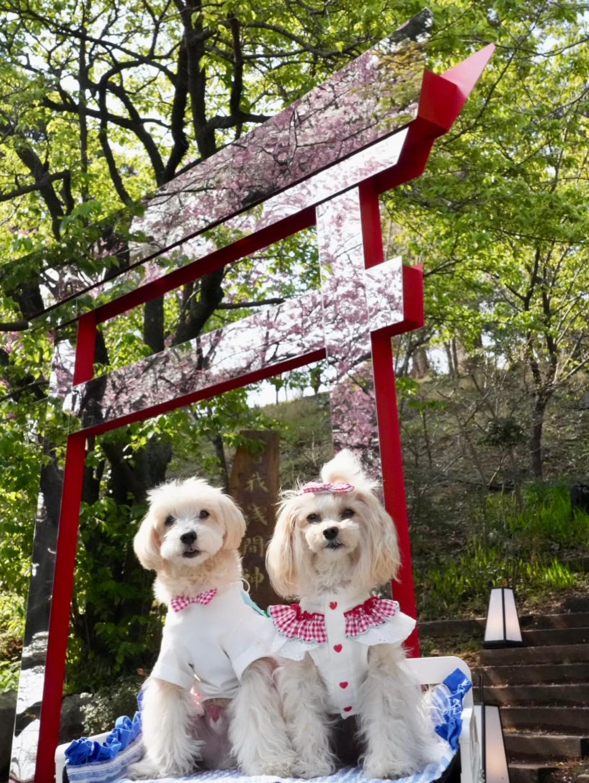 気がつくと季節が春🌸へ…
