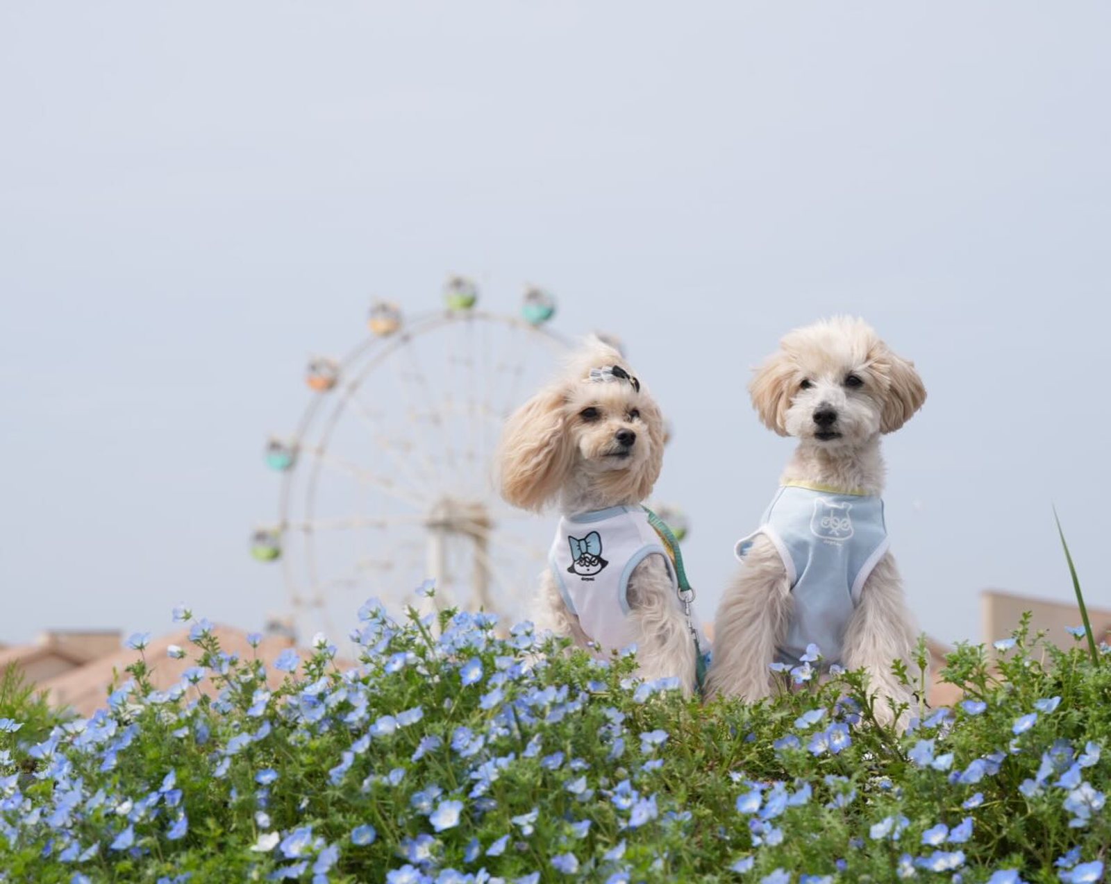 5月スタート