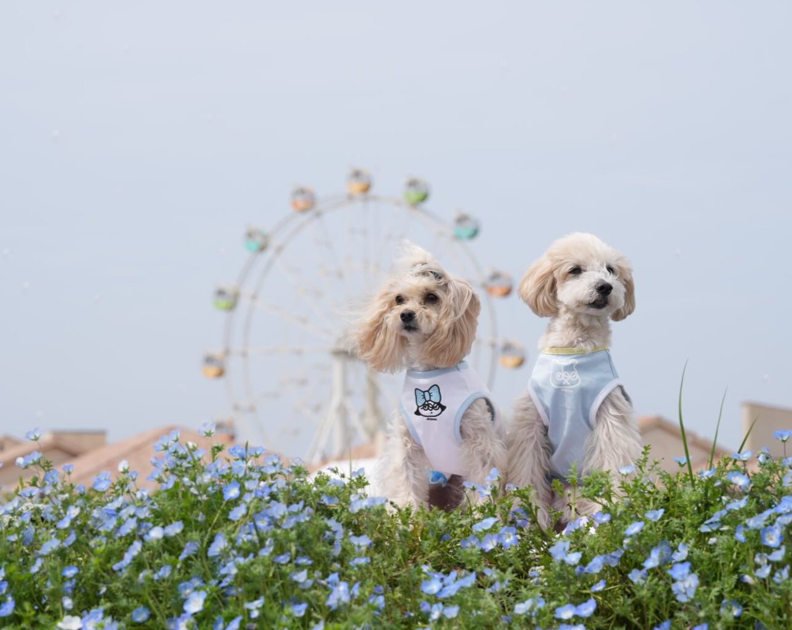 5月スタート