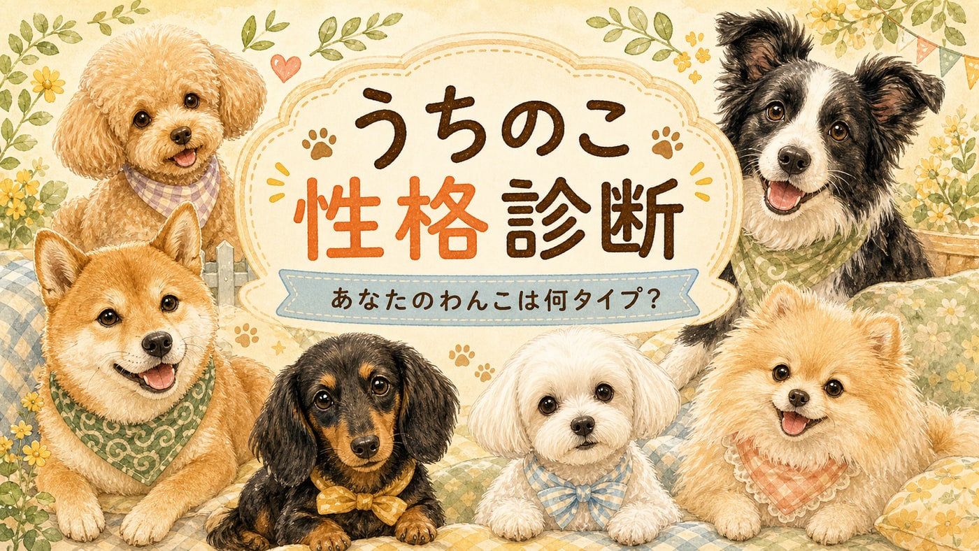 うちの子診断のタイプイメージ