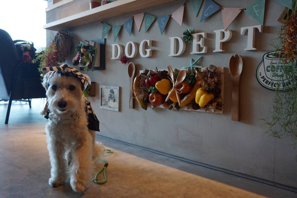 DOG DEPT + CAFE 浅草 隅田川テラス店