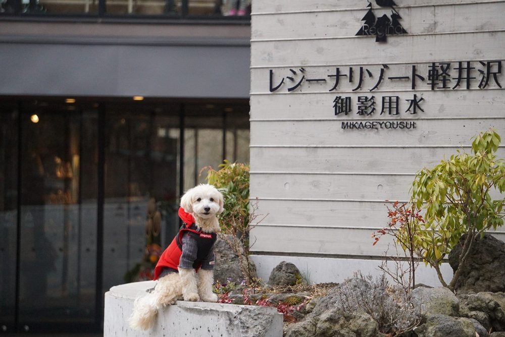 レジーナリゾート軽井沢 御影用水