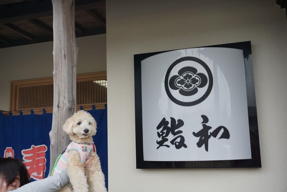 寿司 鮨和