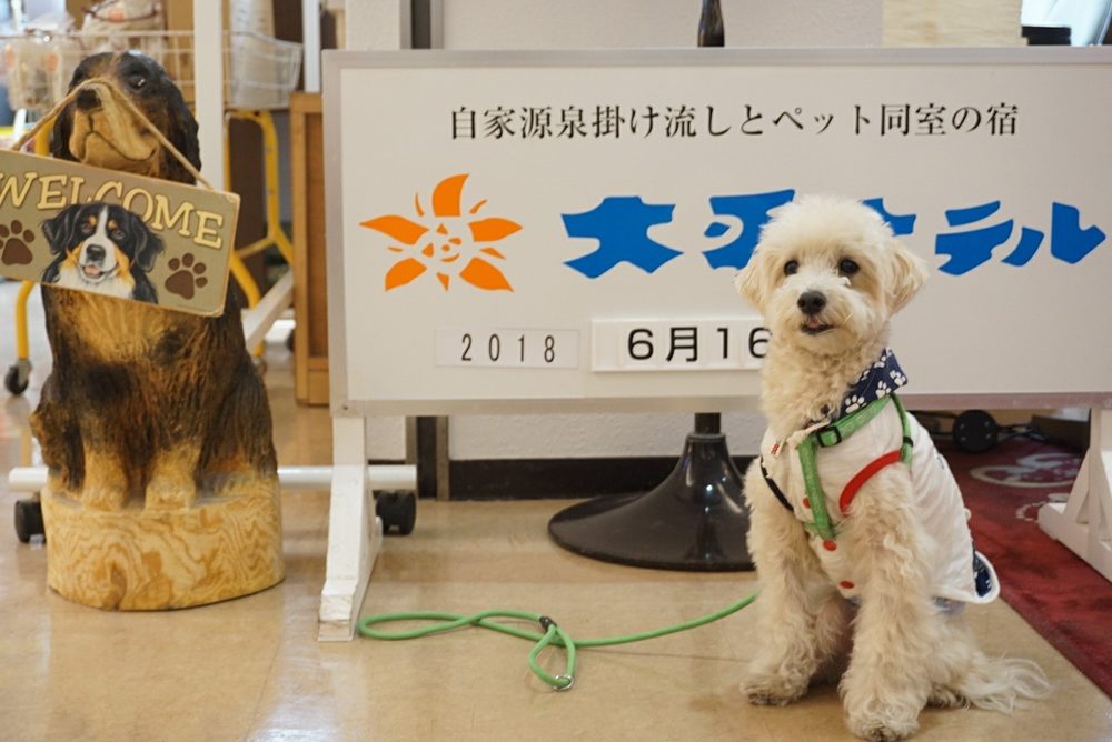 蔵王温泉 善七乃湯 Oohira Hotel