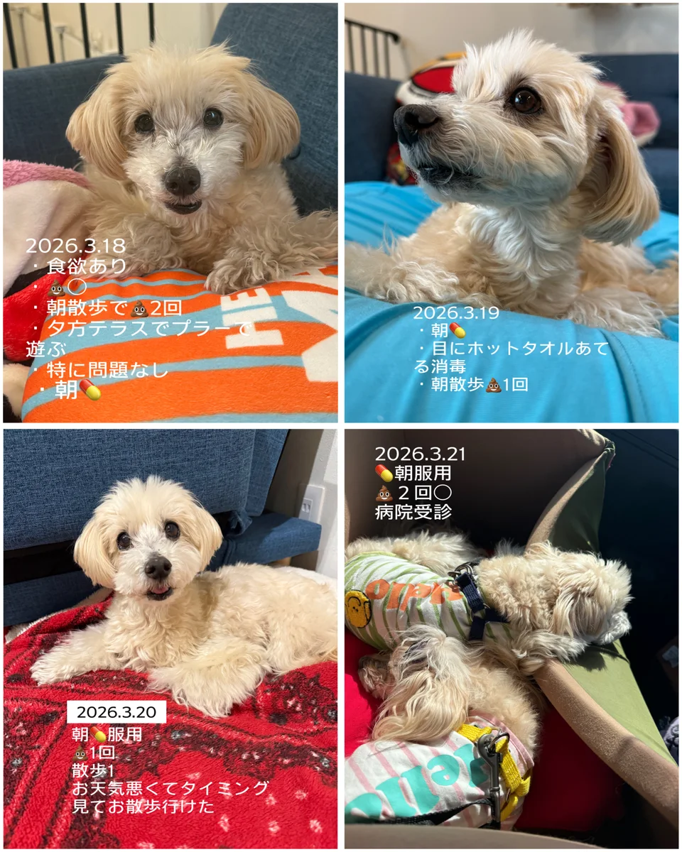 できるだけ記録を残す