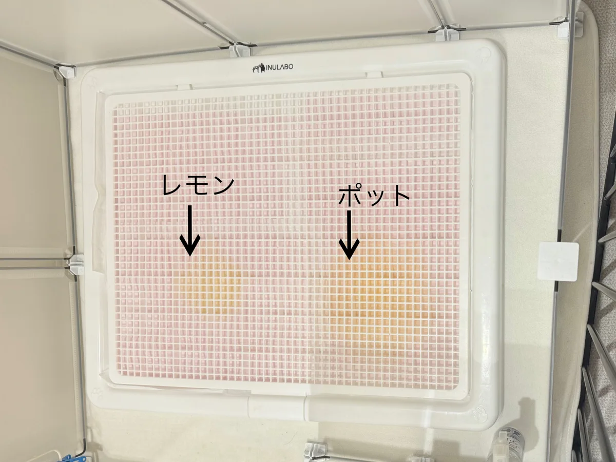 ポットの1回量が多いでしょ!