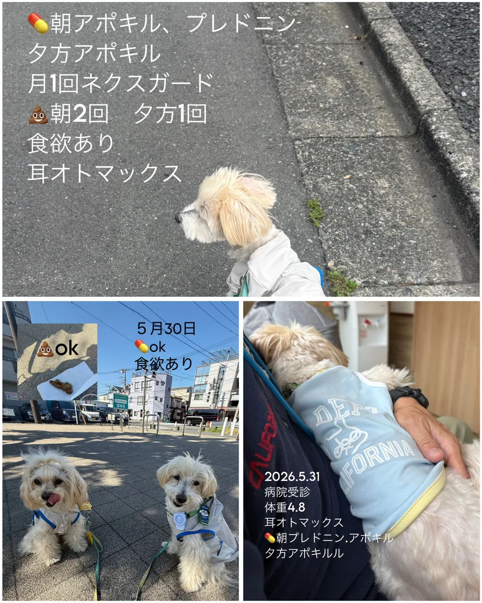 5月最終週