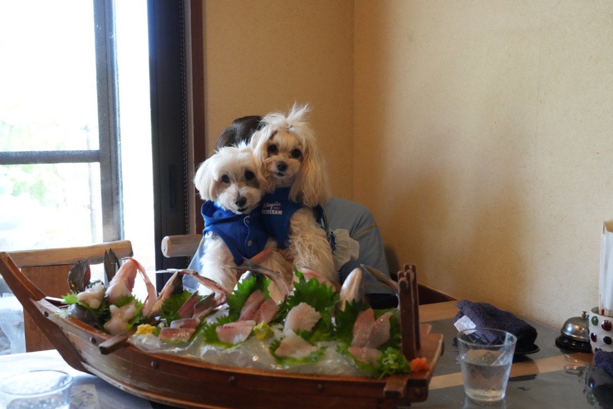 地魚料理 松