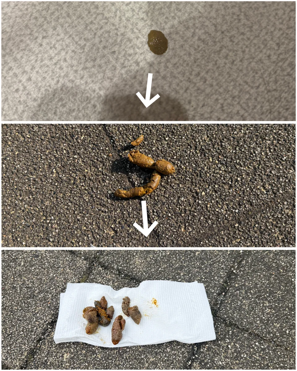 💩変化!元に戻って良かった
