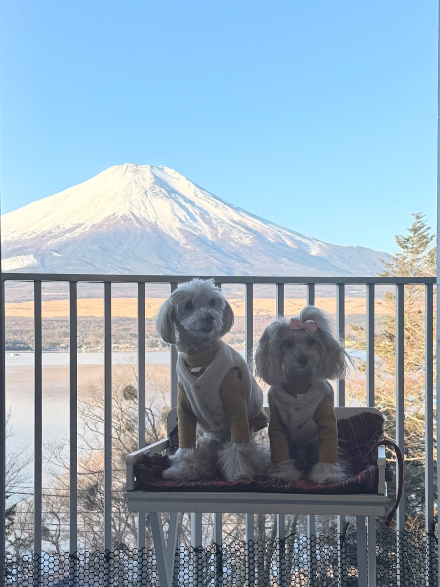 レジーナリゾート山中湖