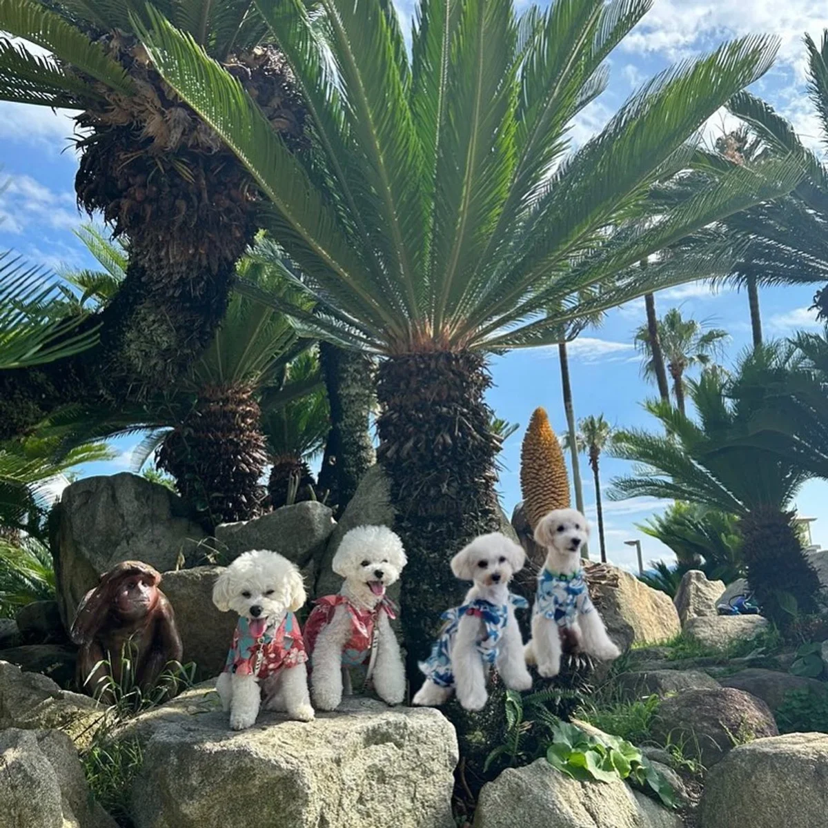 久しぶりの妄想リゾート🏝