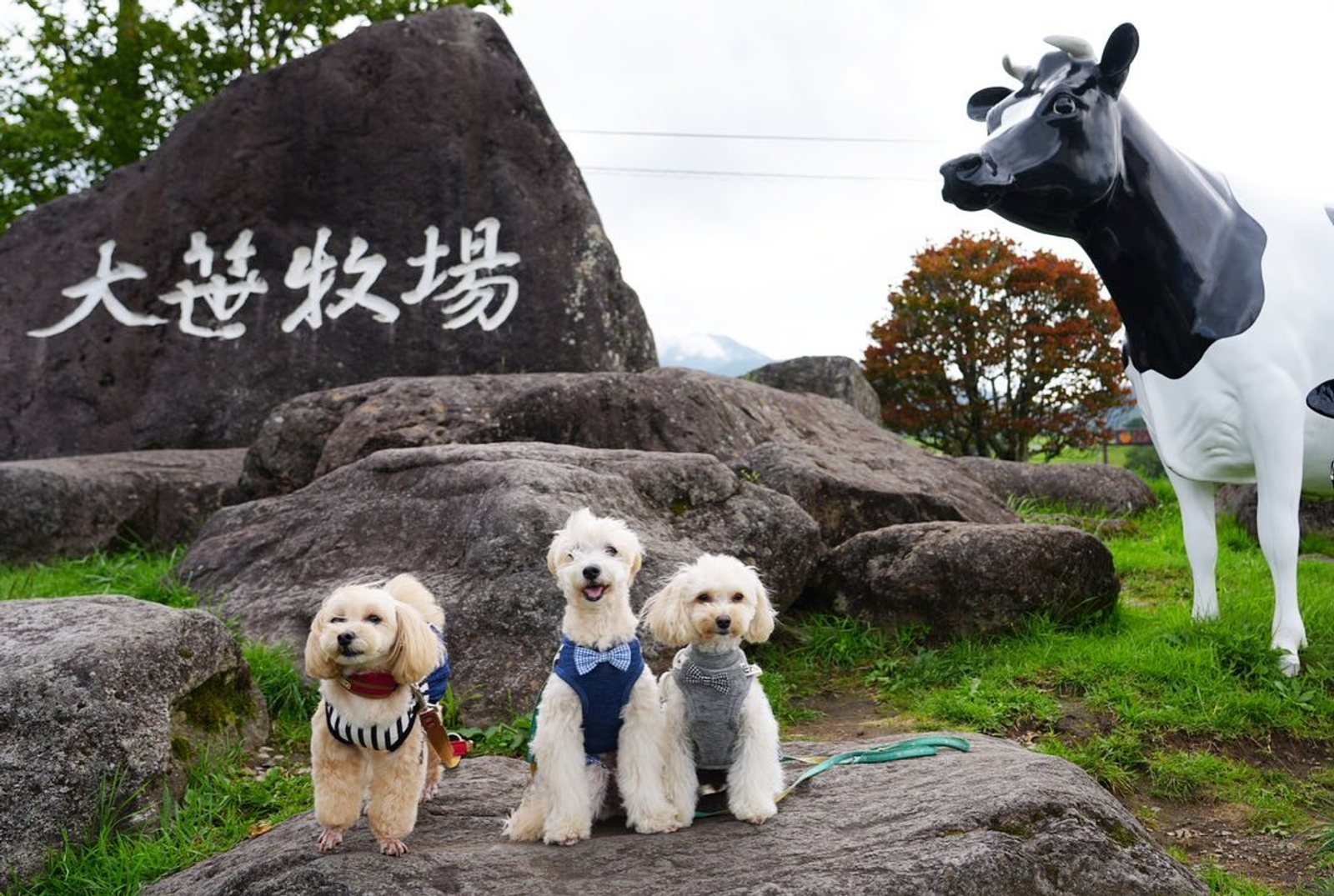 🐶と日光鬼怒川旅行2