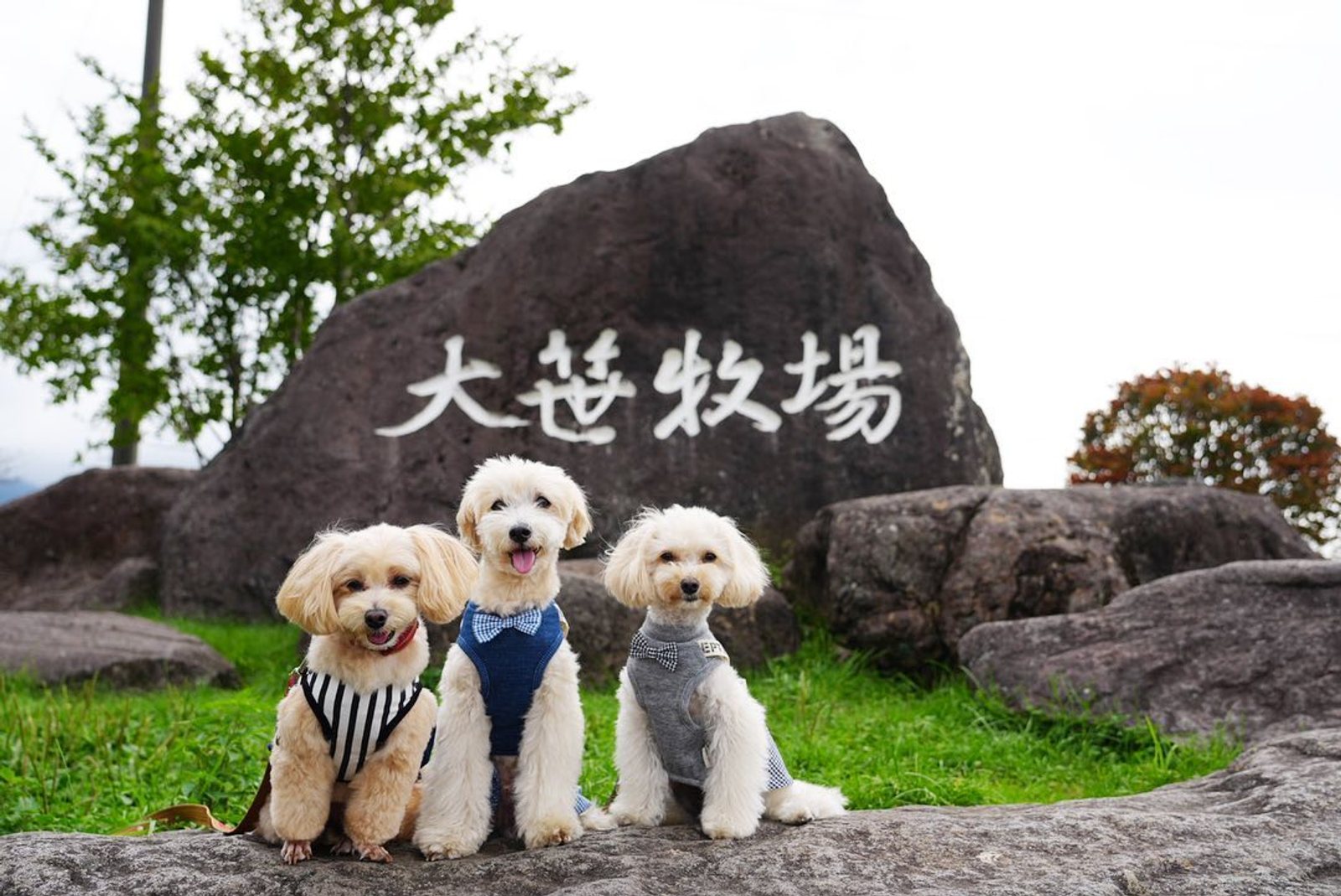 🐶と日光鬼怒川旅行2