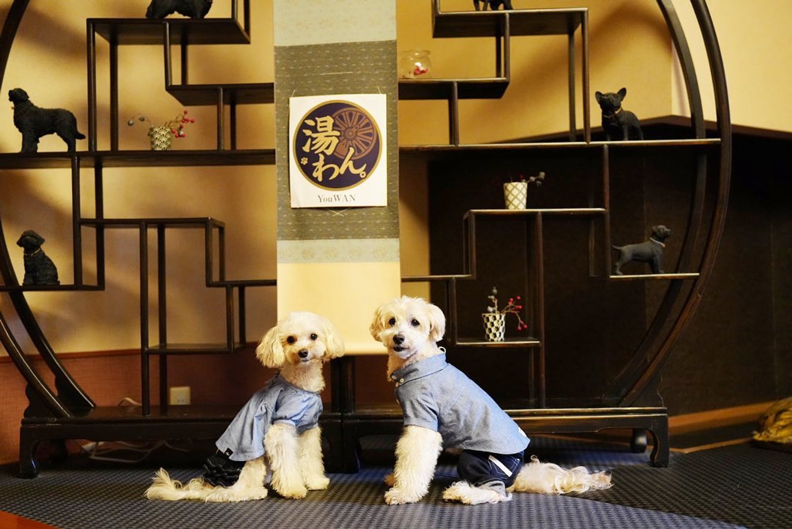 新しいオシャレなお友達