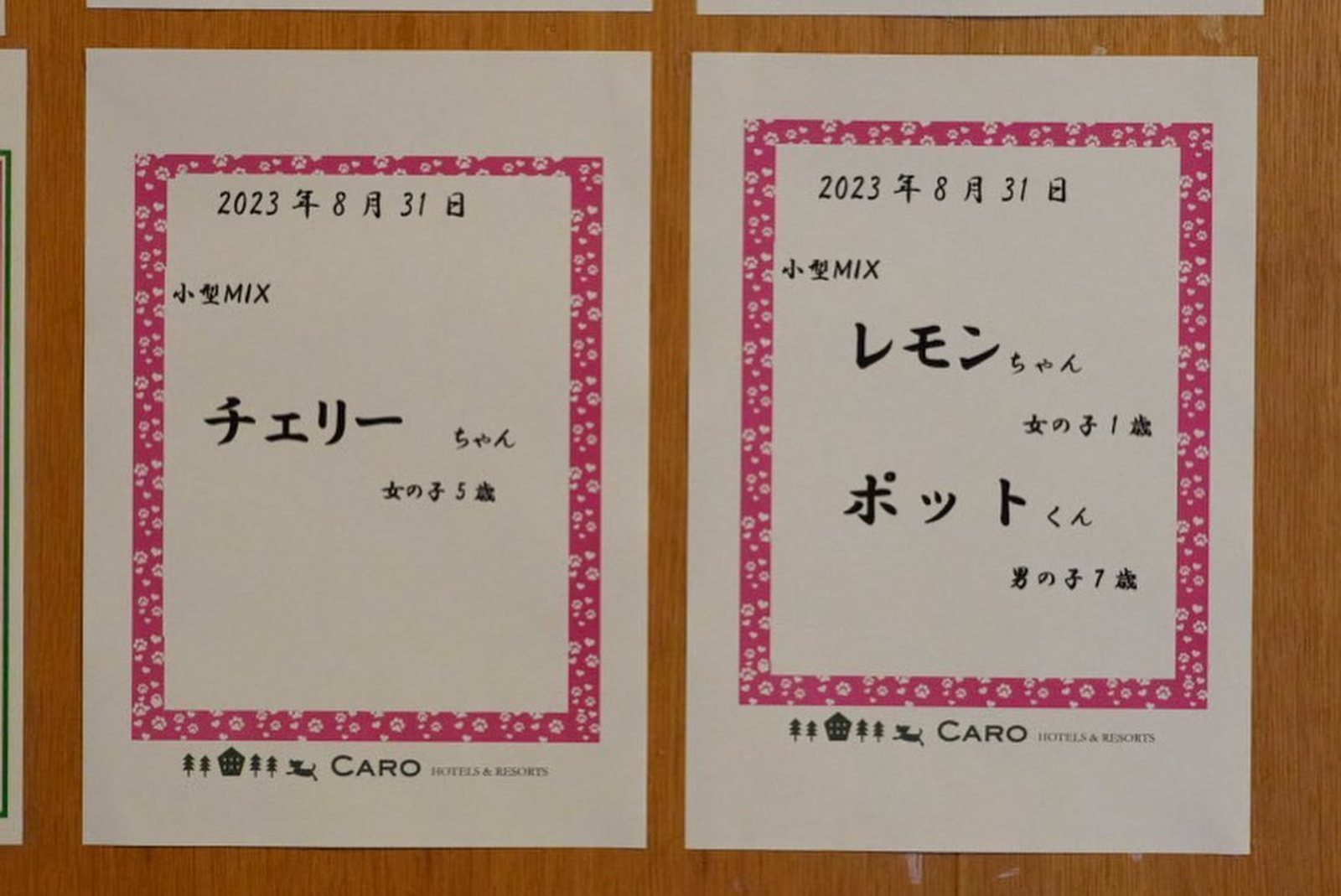 新しいオシャレなお友達