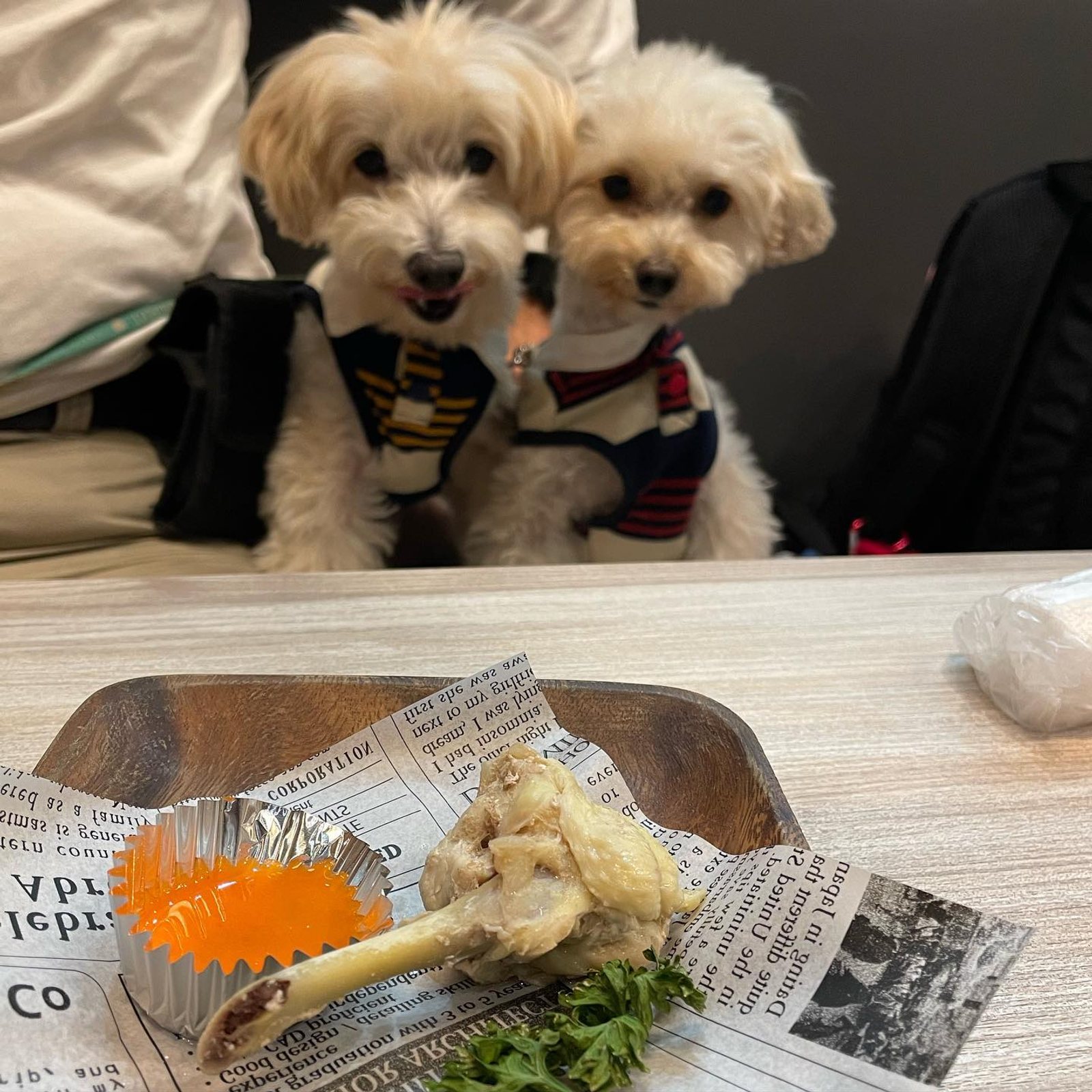 お肉ガン見のポット＆レモン