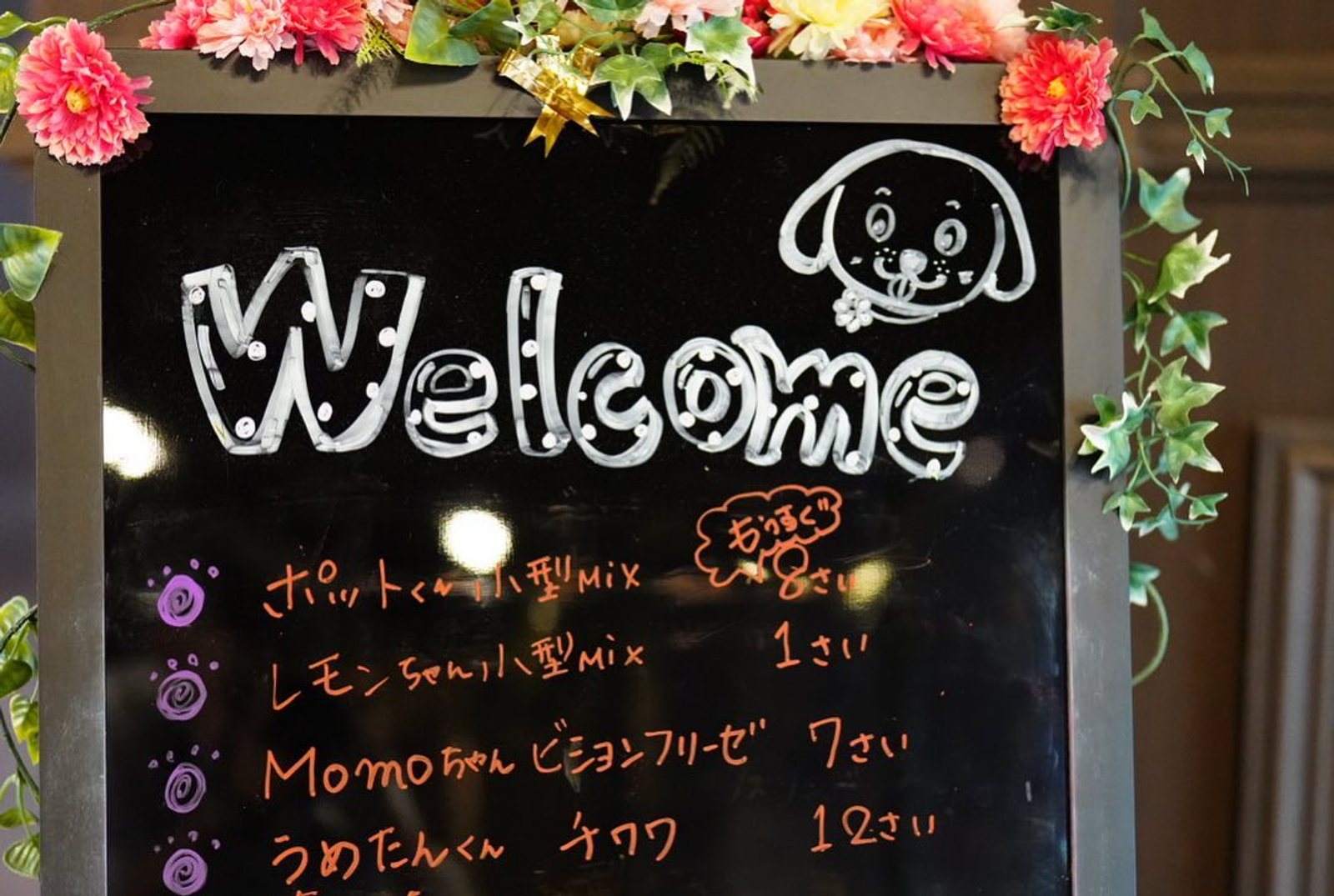 10月15日のポット&レモン