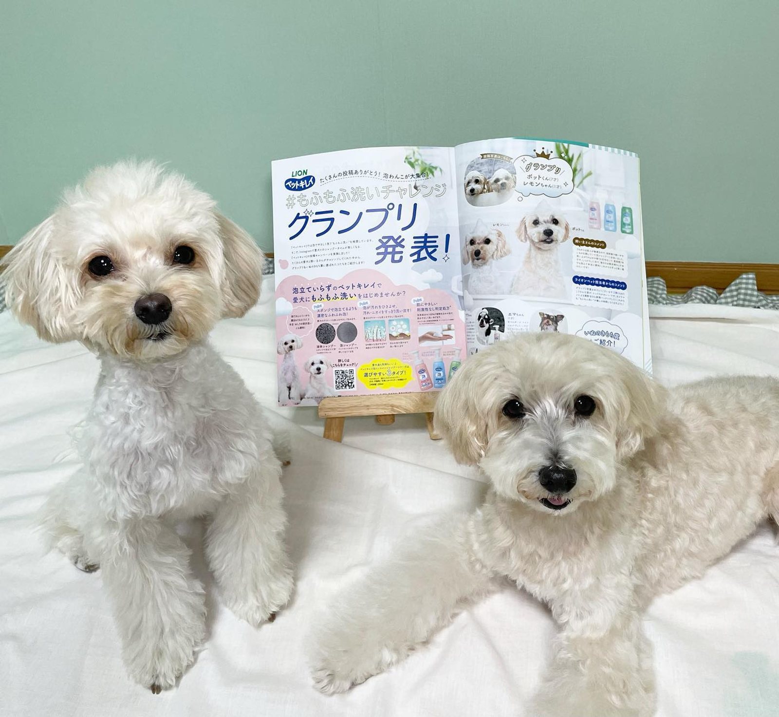 10月19日のポット＆レモン