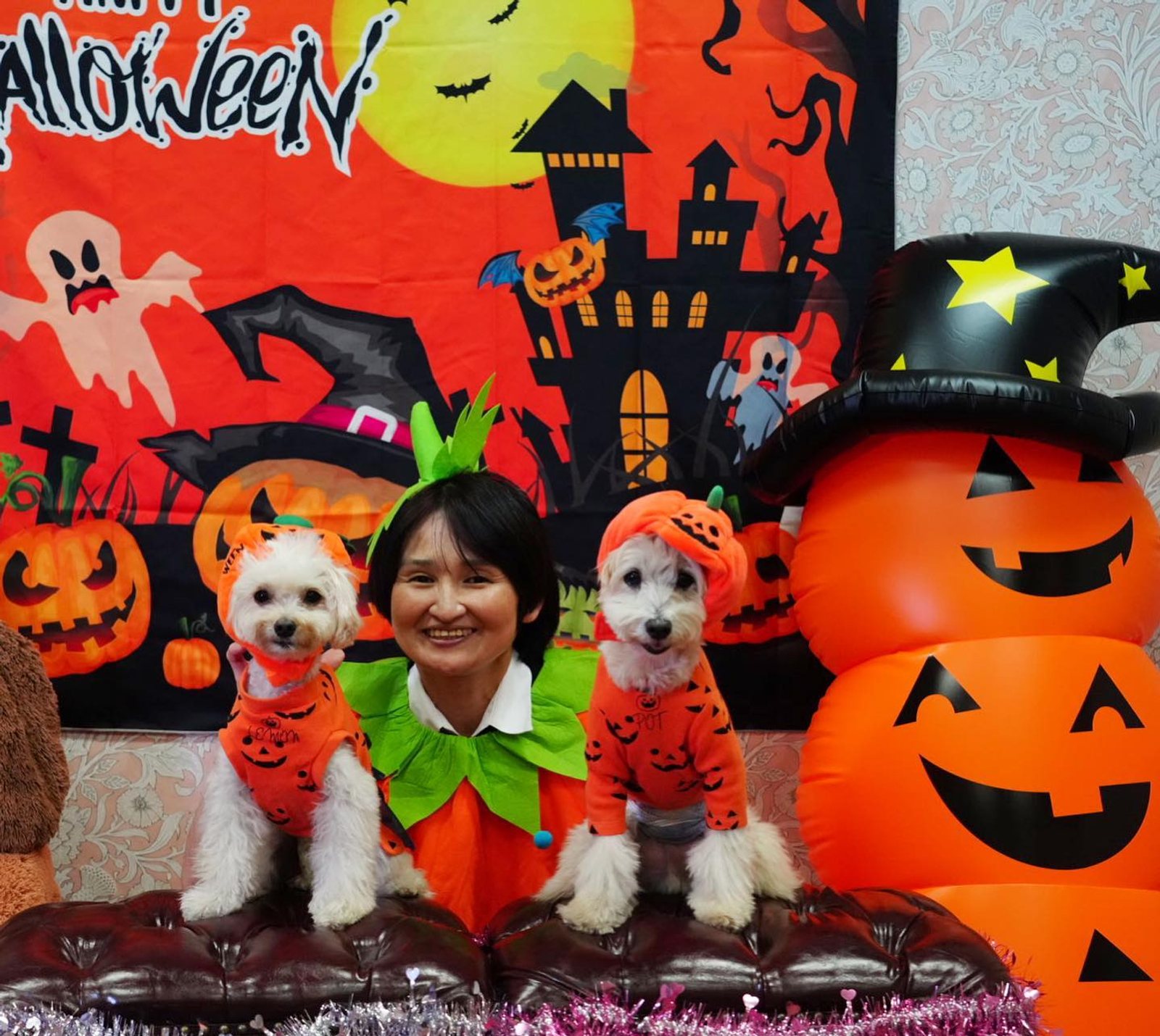 10月23日のポット&レモン