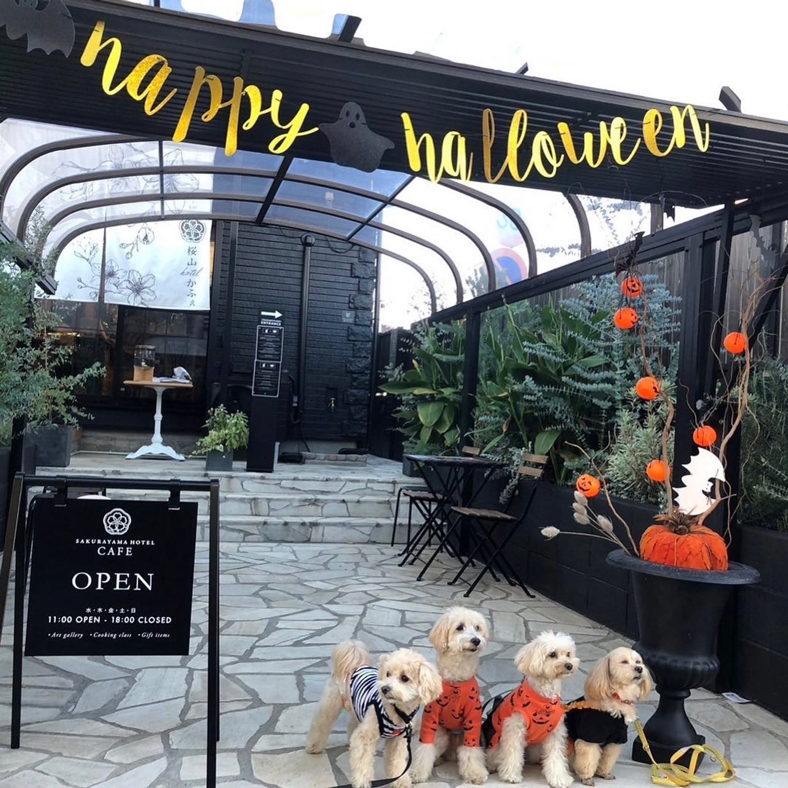 🎃Happy Halloween🍭