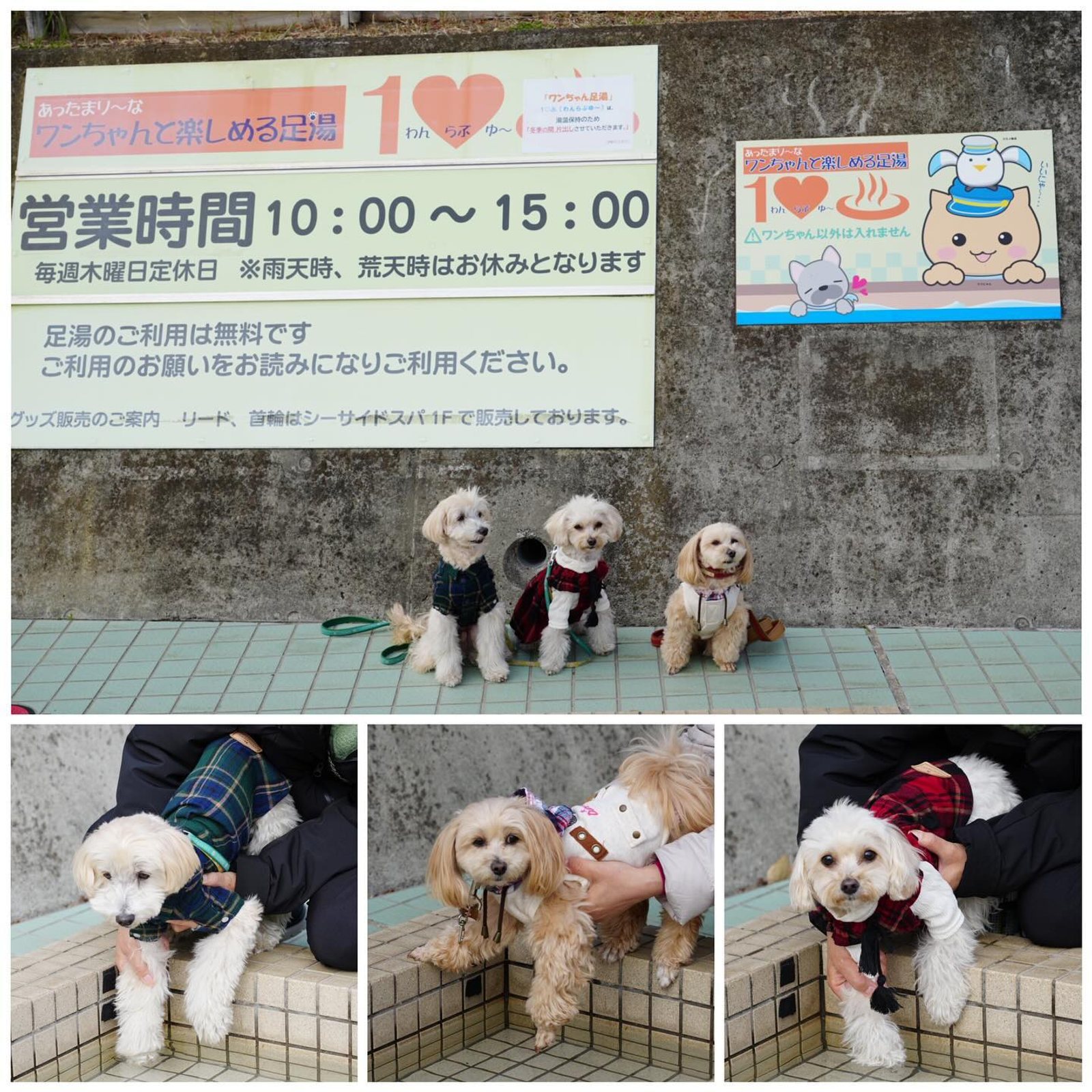 まずはツーショット 可愛い🐶🐶🐶 足湯へ