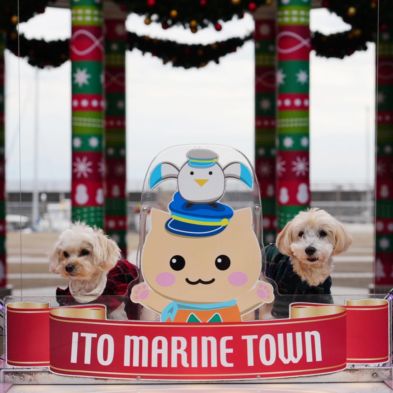 まずはツーショット 可愛い🐶🐶🐶 足湯へ