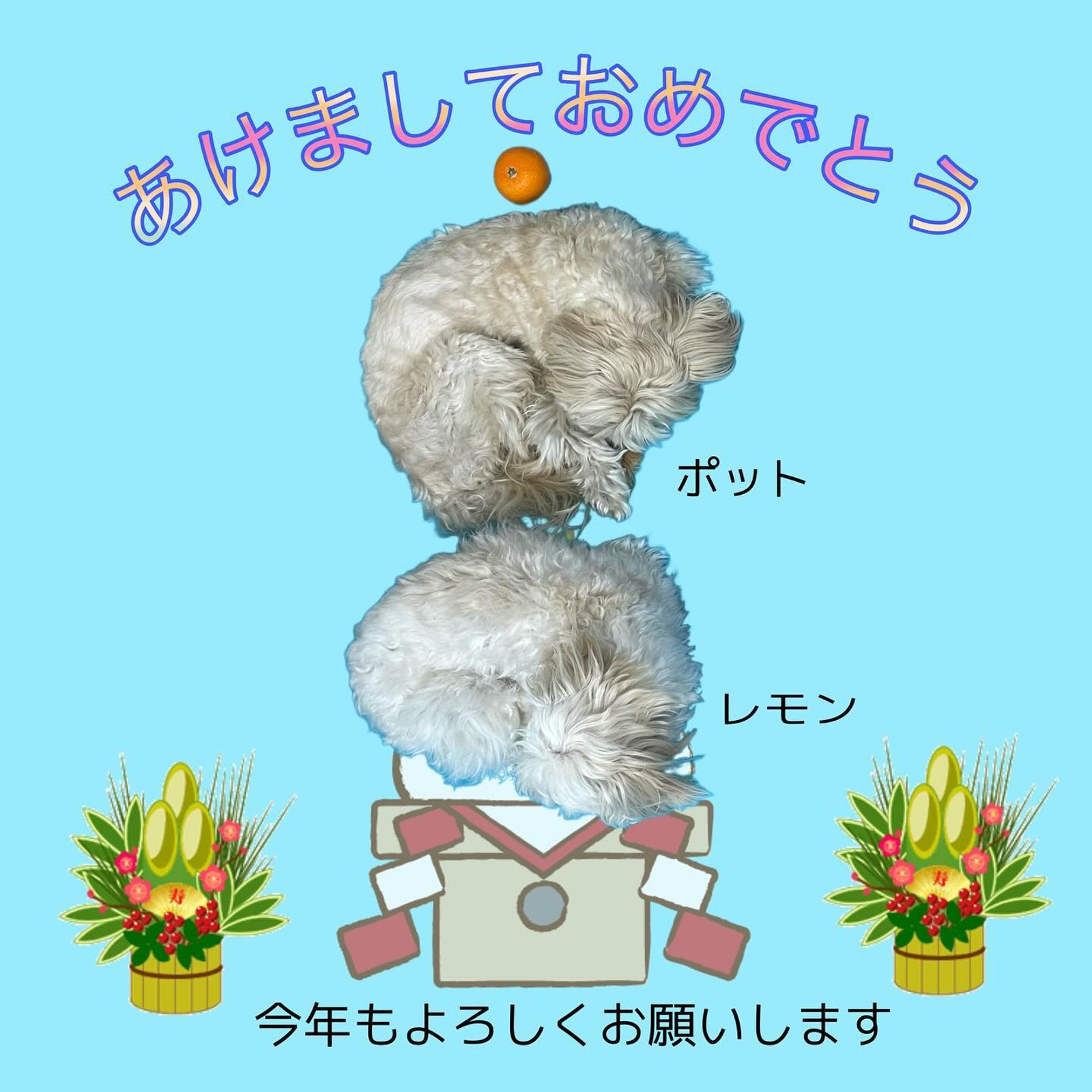 🌅あけましておめでとうございます🎍