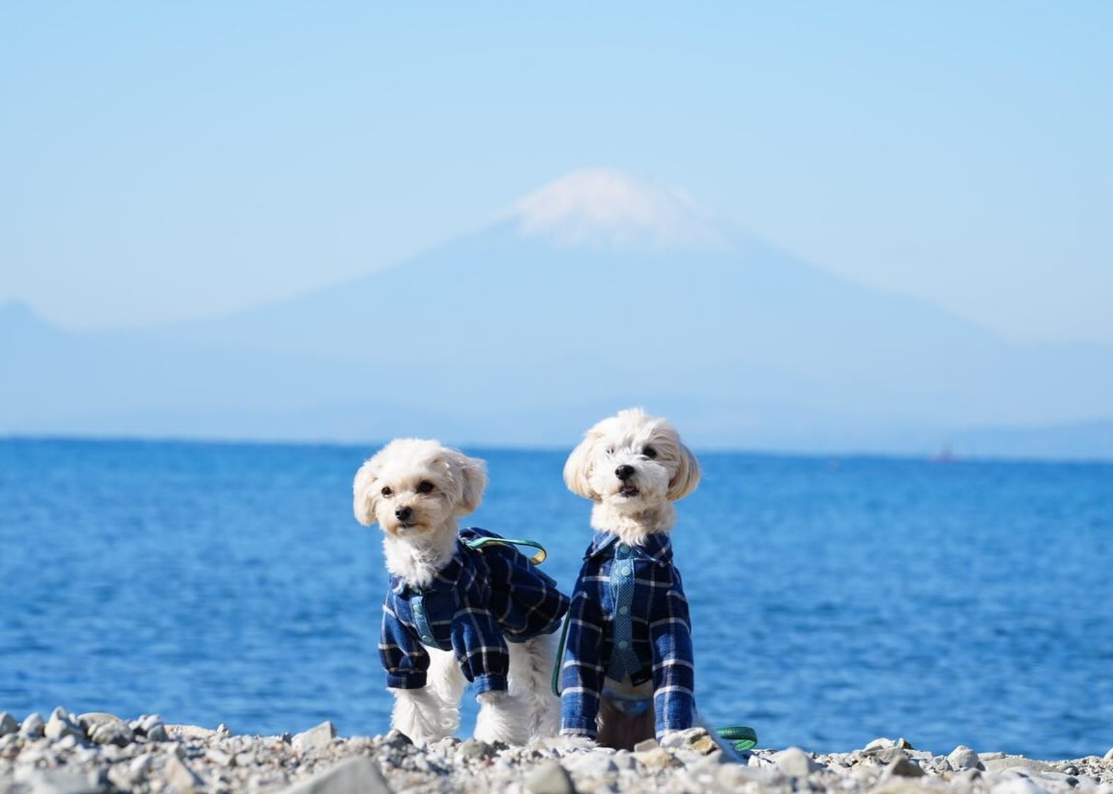 〜思い出シリーズ〜 富士山🗻が見えたよ
