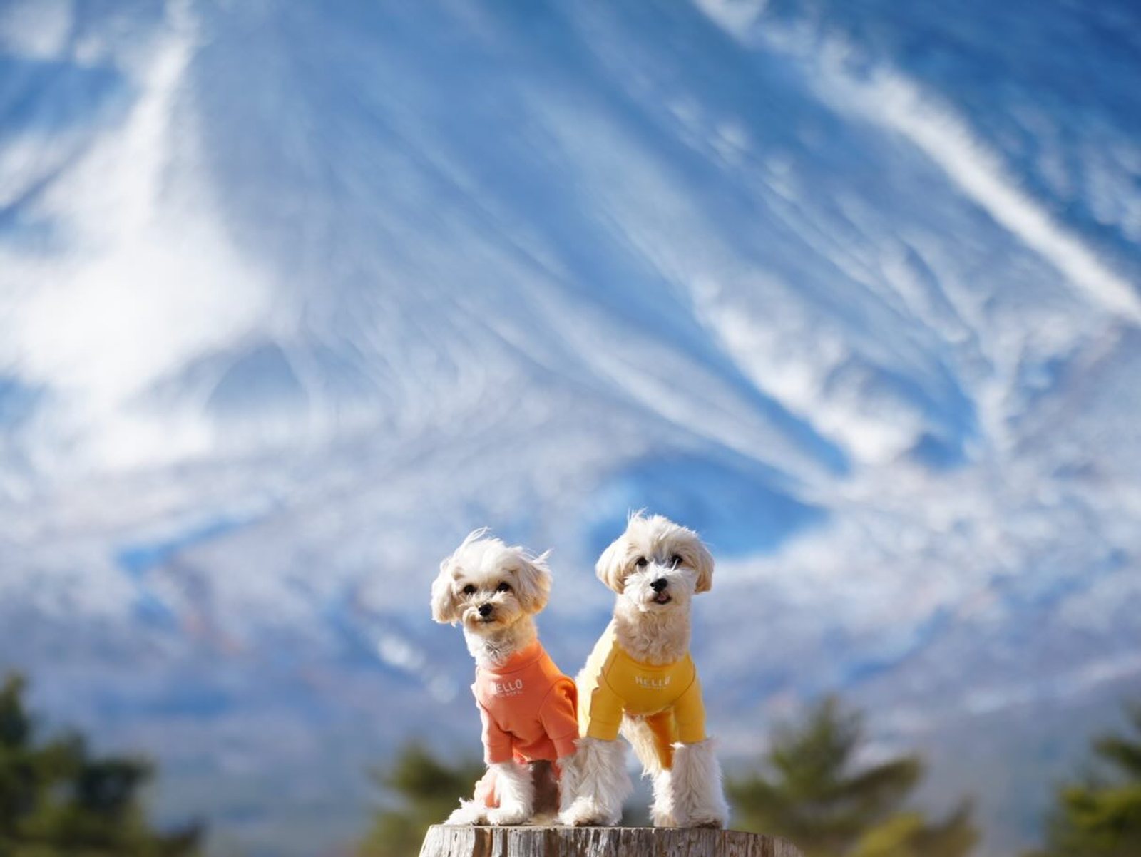 ドーンと雪山🏔