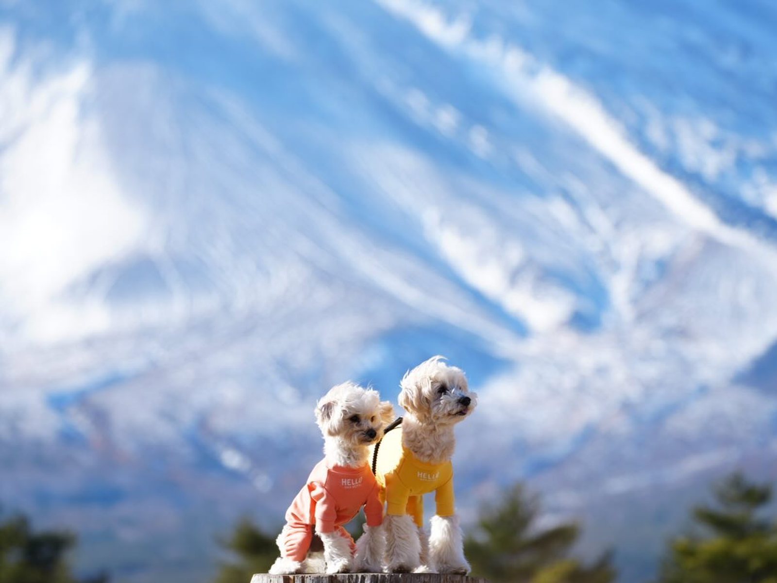 ドーンと雪山🏔