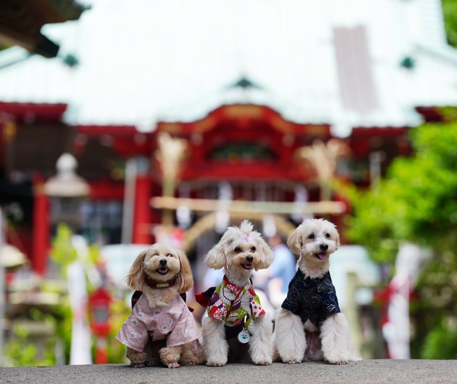 海南神社⛩