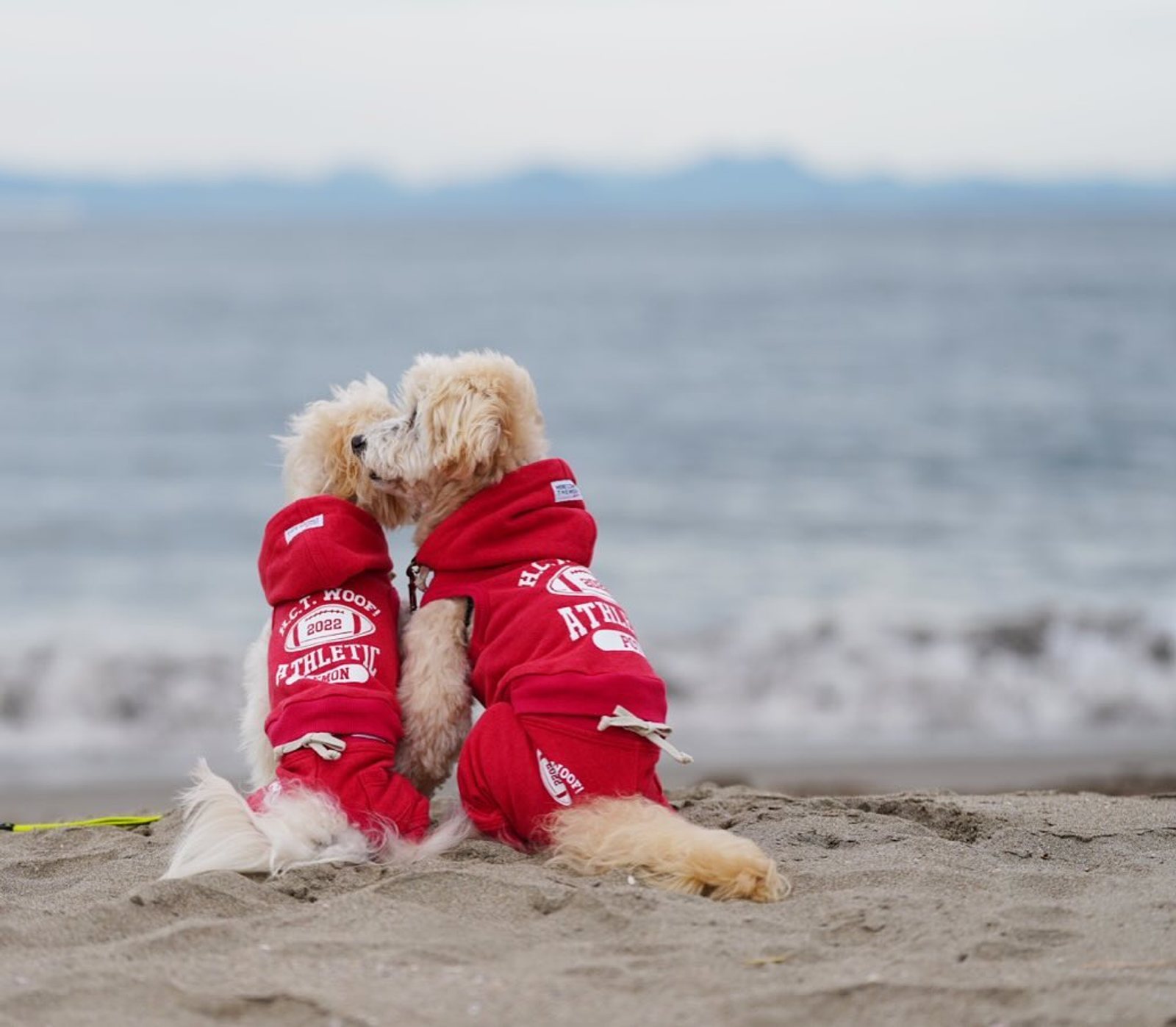 今日は海の日