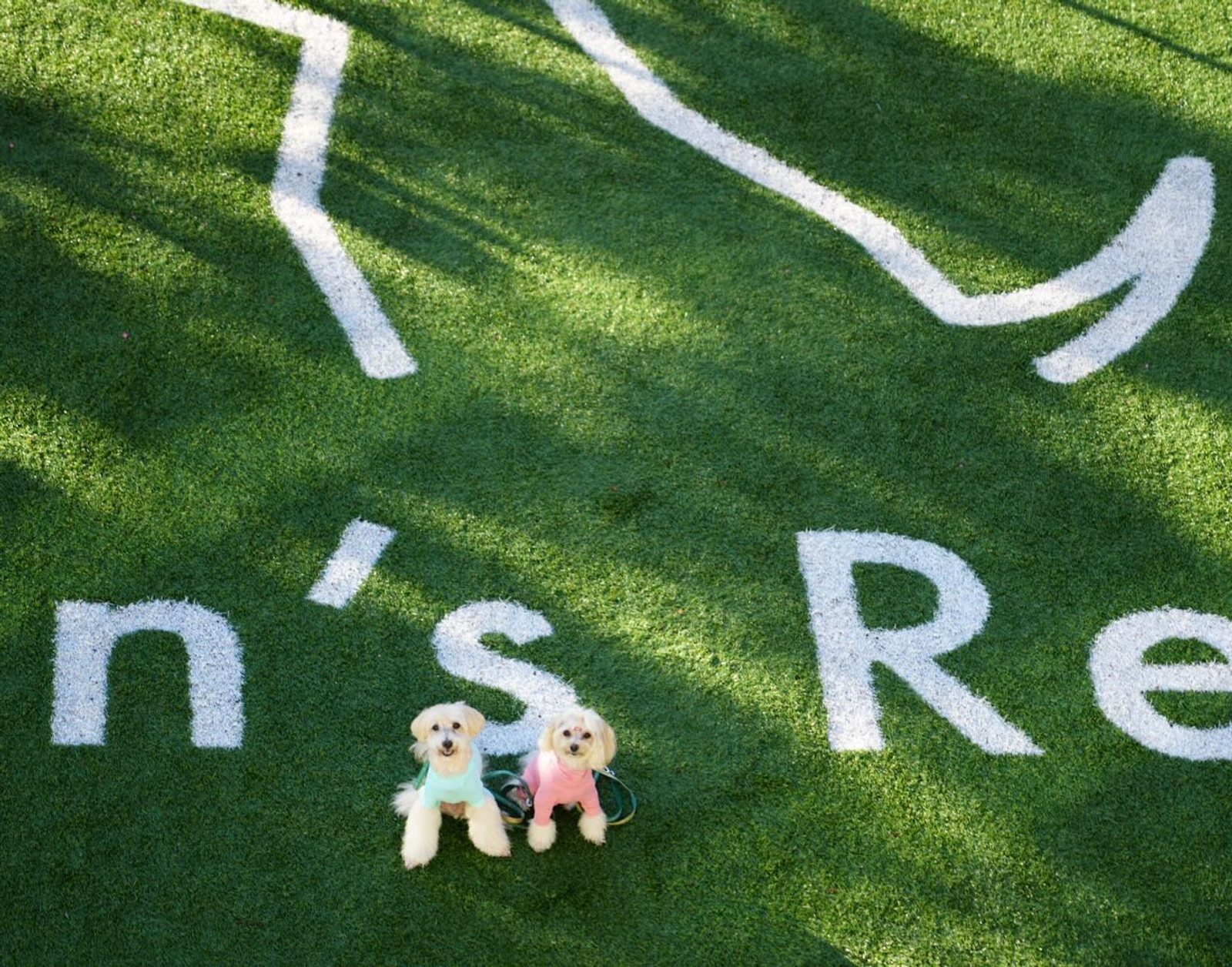 🌻ポット&レモンのちょっと遅い夏休み🌻