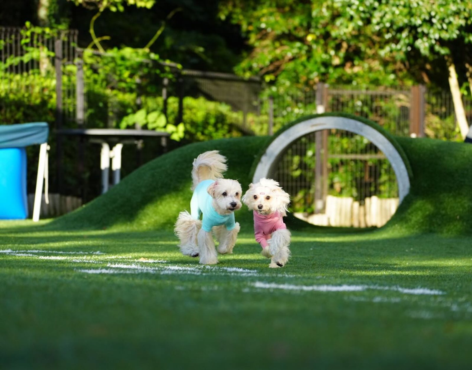 🌻ポット&レモンのちょっと遅い夏休み🌻