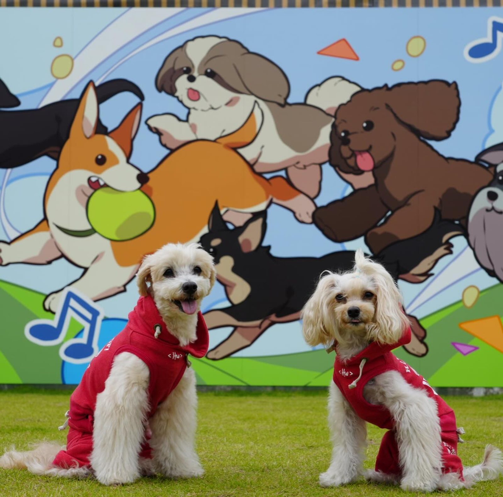 10月27日のポット&レモン