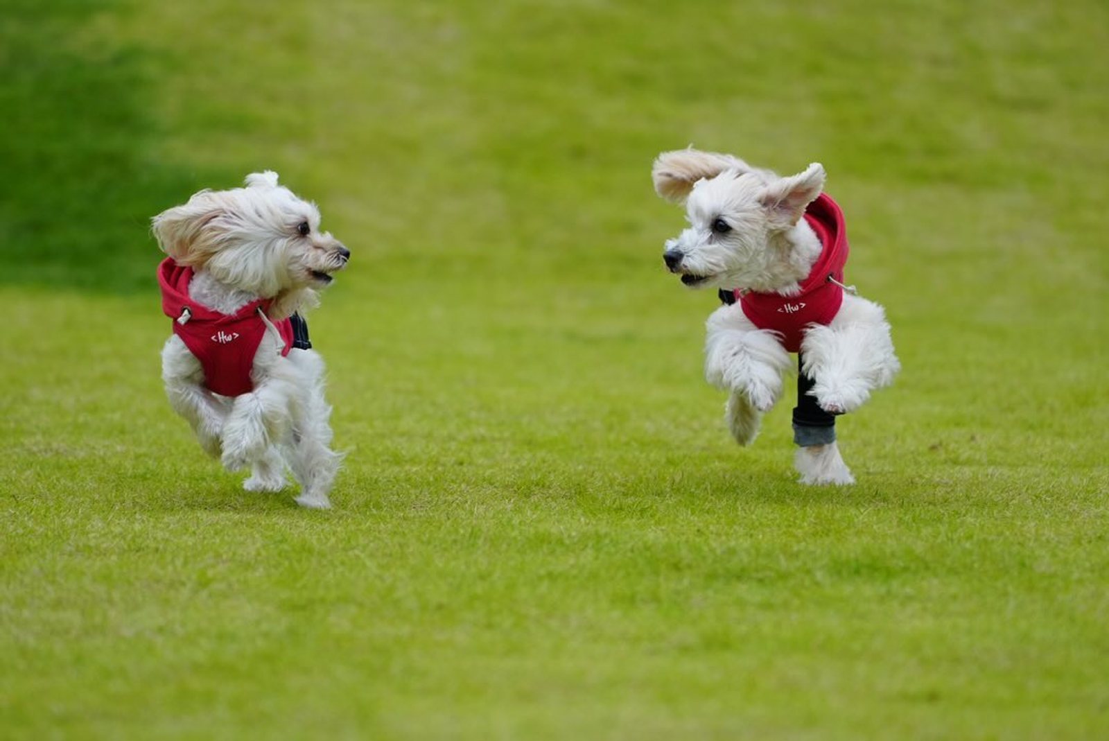 11月6日のポット&レモン