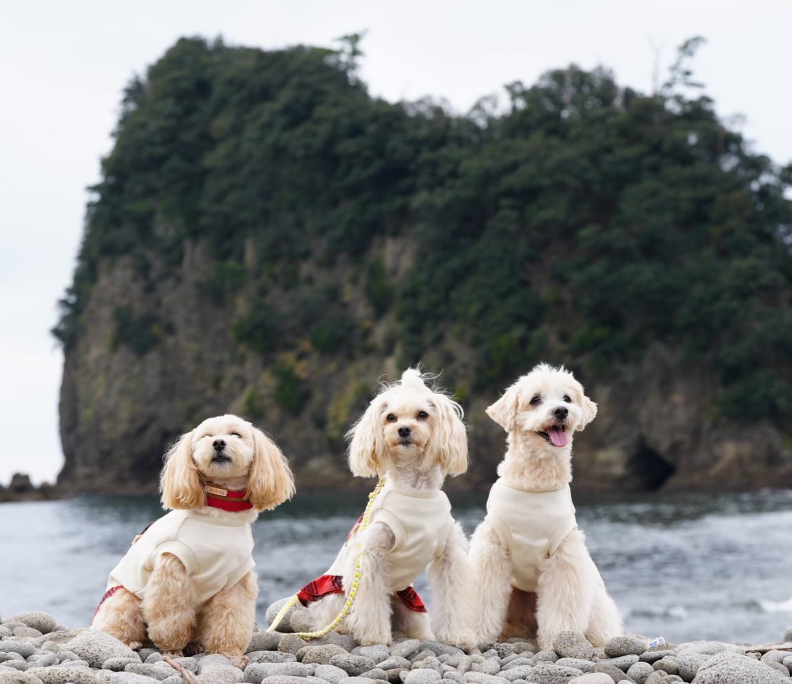 すっかり旅行の記録遅くなってしまった💦