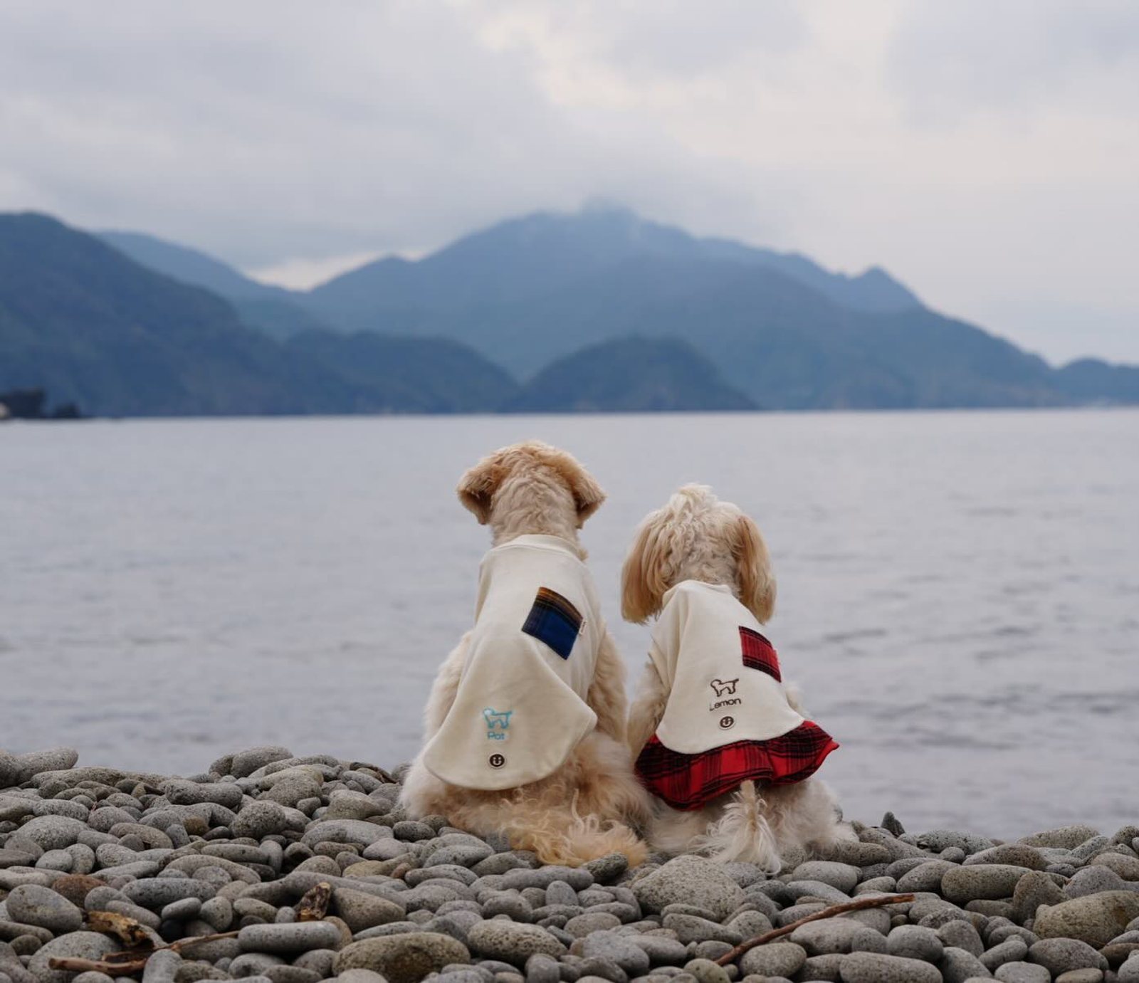 すっかり旅行の記録遅くなってしまった💦