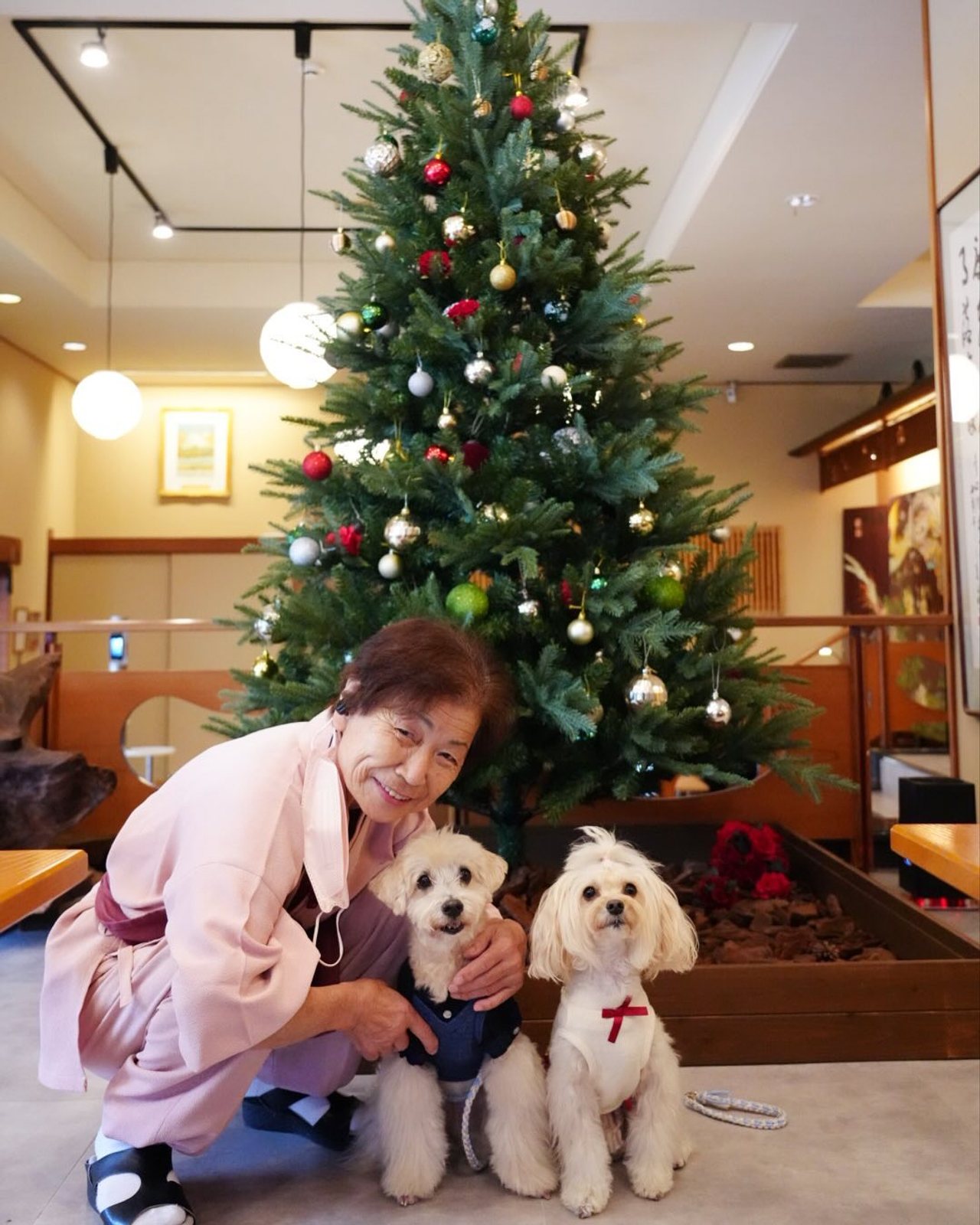 八の坊さんの大きな🎄と📸アップし忘れてたー💦