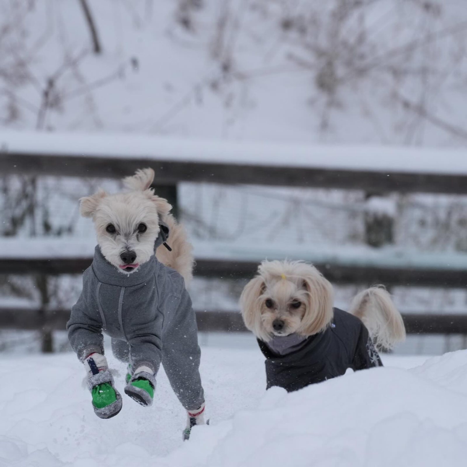 雪遊び☃