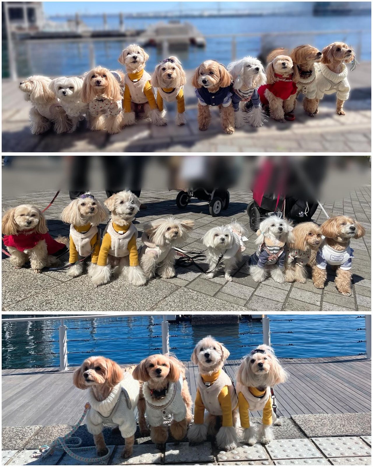 2月25日のポット＆レモン