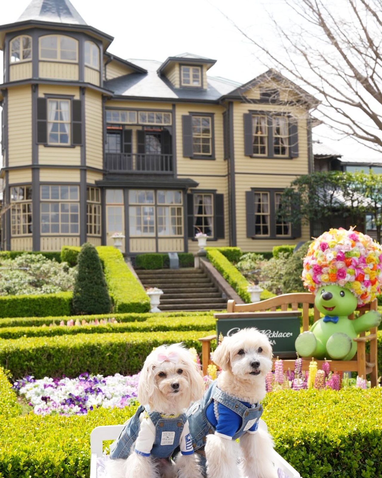 まだまだ春色探して山手散歩🐾