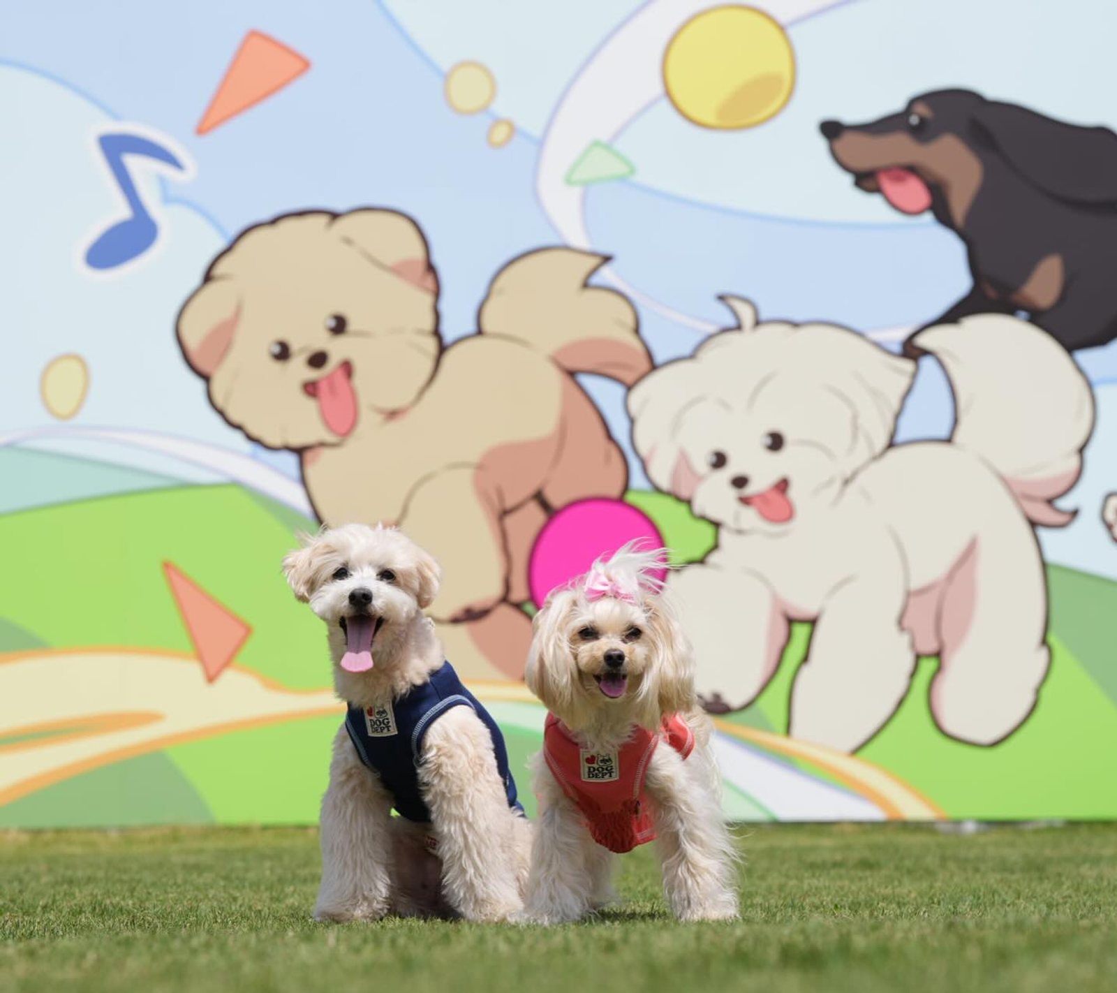 4月21日のポット&レモン