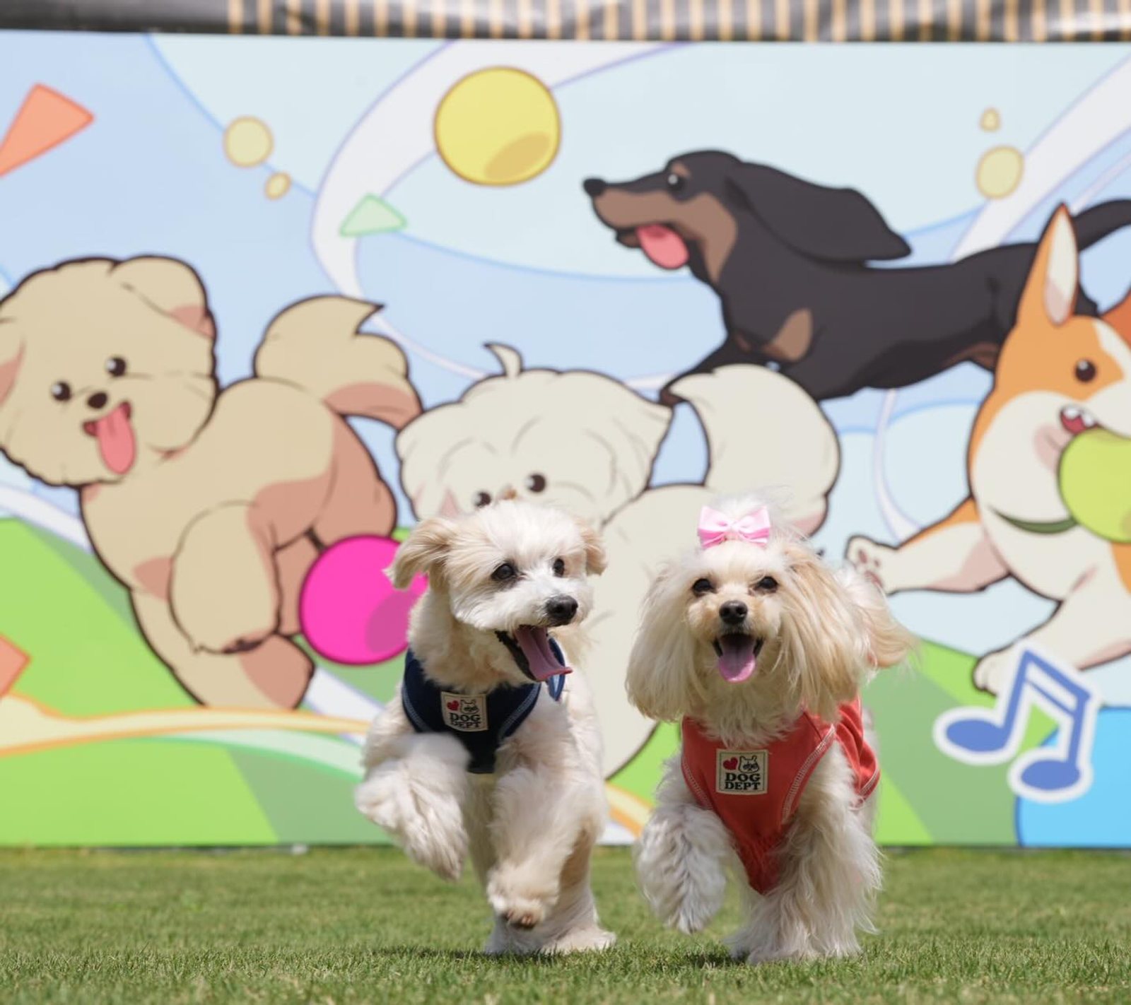 4月21日のポット&レモン
