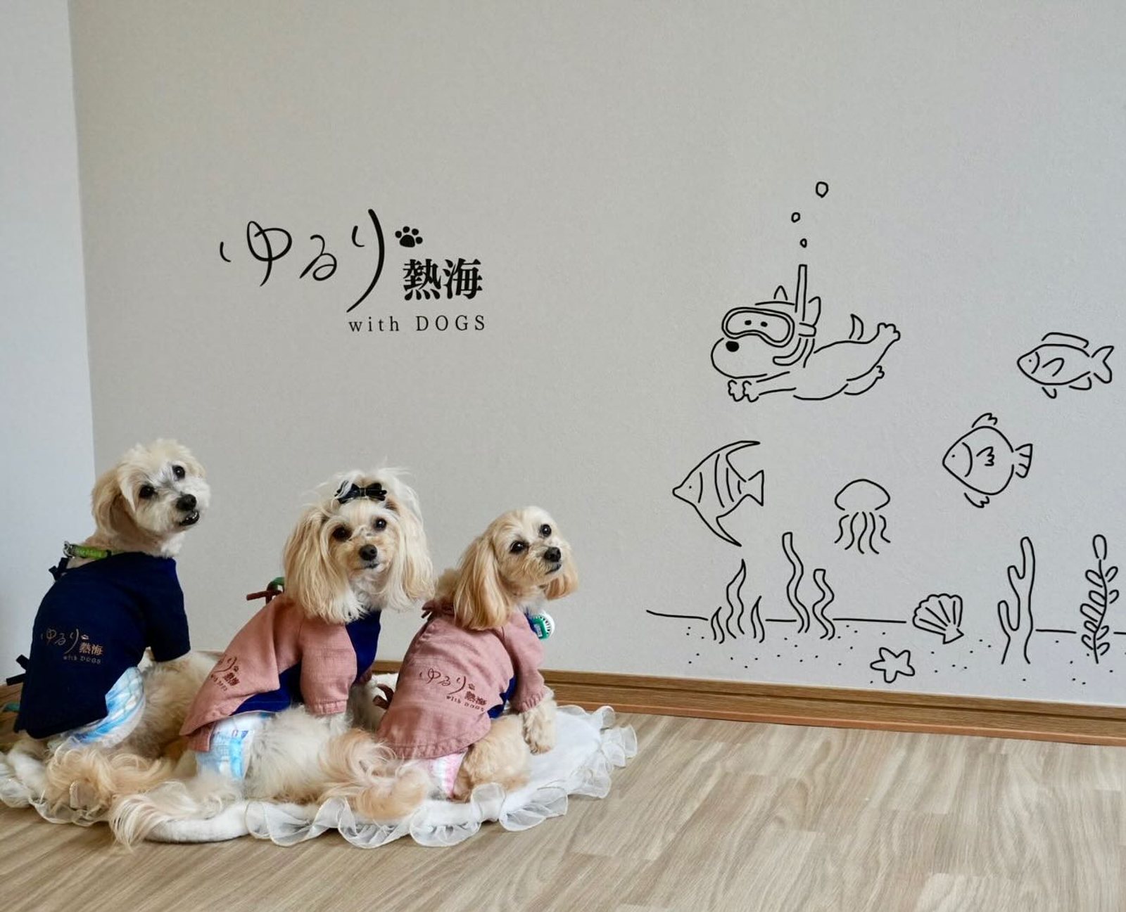 6月11日のポット&レモン