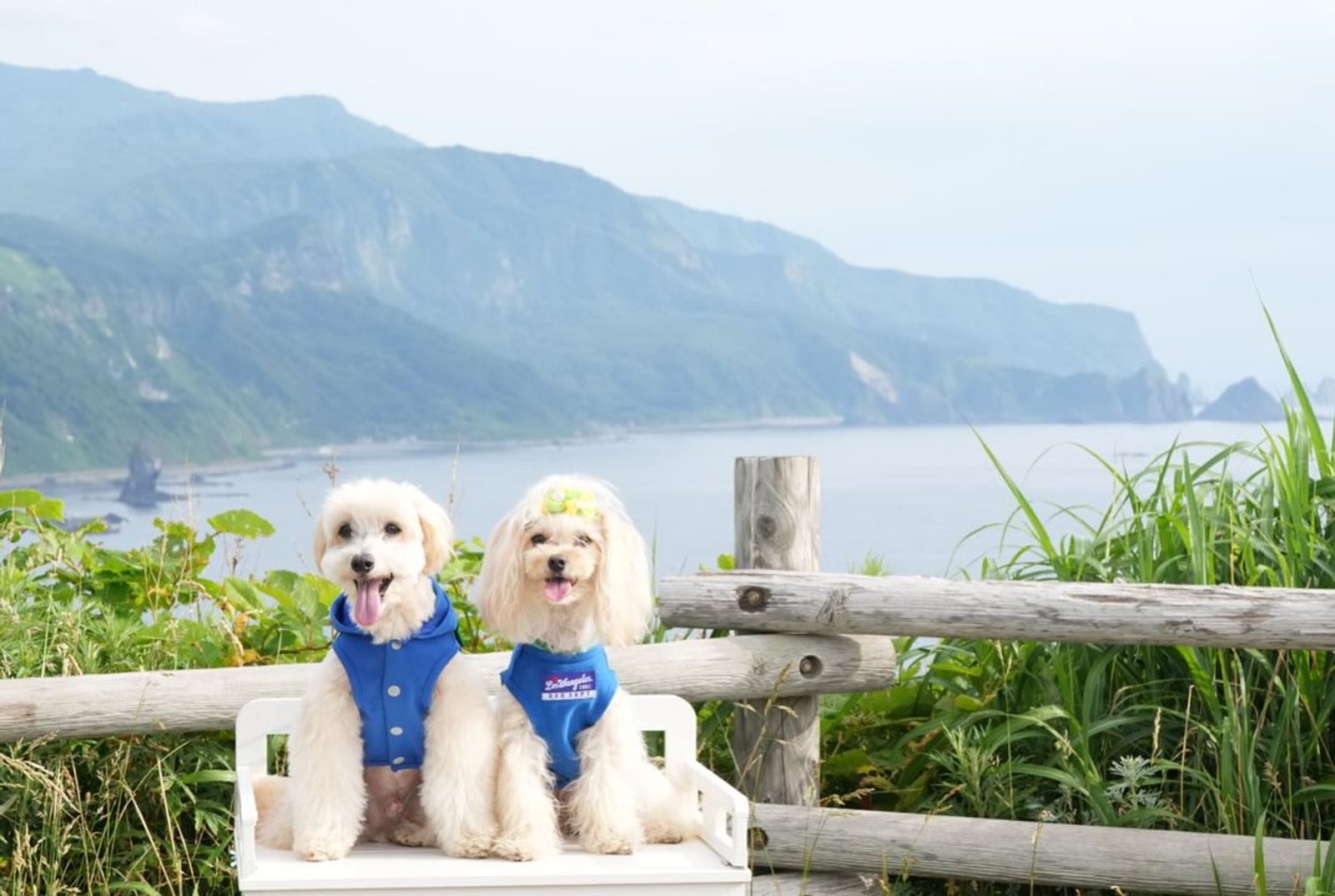 ポット&レモンの北海道大冒険〜神威岬〜