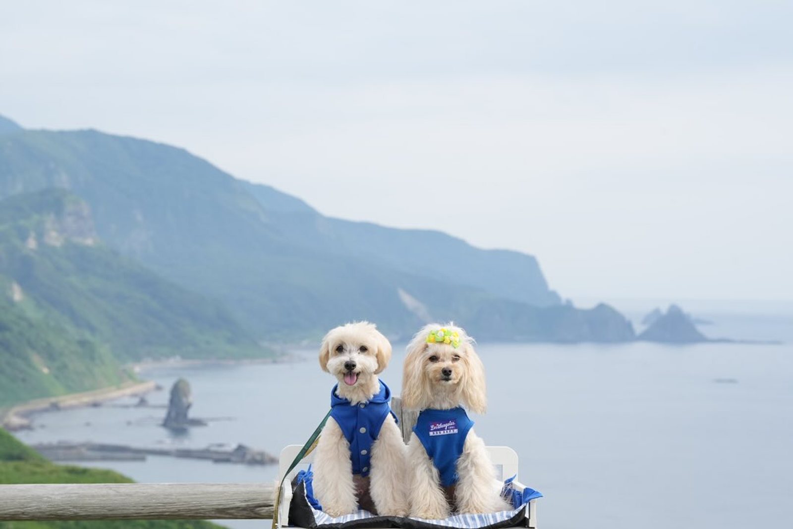 ポット＆レモンの北海道大冒険〜神威岬〜